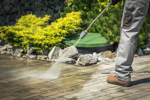 Professional Pressure Washing Services in Pine Manor, FL