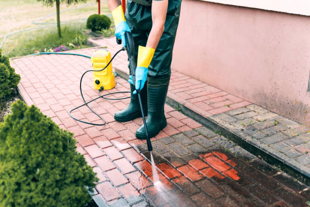 Best Spring Cleaning  in Pine Manor, FL