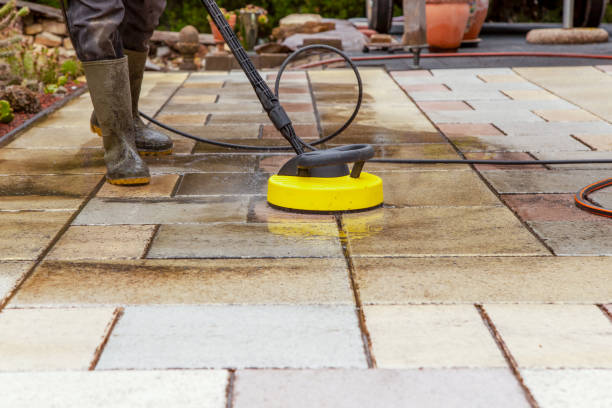 Best Driveway Pressure Washing  in Pine Manor, FL